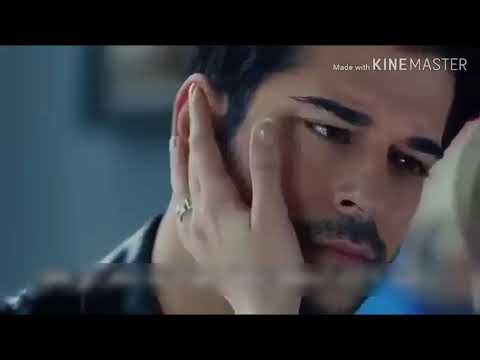 طيبو لقلبي طيبو ربيع بارود