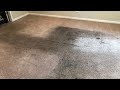 Advanced Cleaning Vlog #16 || Heavily soiled mancave carpet cleaning