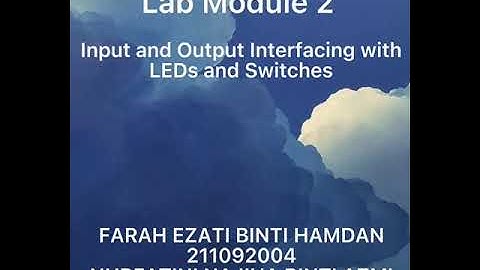 Lab 2 Input and Output Interfacing with LEDs and Switches