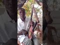 كتب الجواب لي تراث جبال النوبة السودان