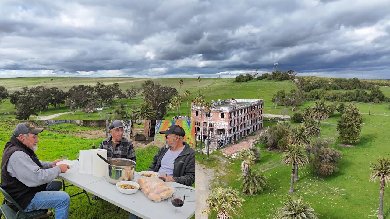 As vacas e o Hotel do Belo da Ilha São Jorge em Byron Hotsprings Califórnia