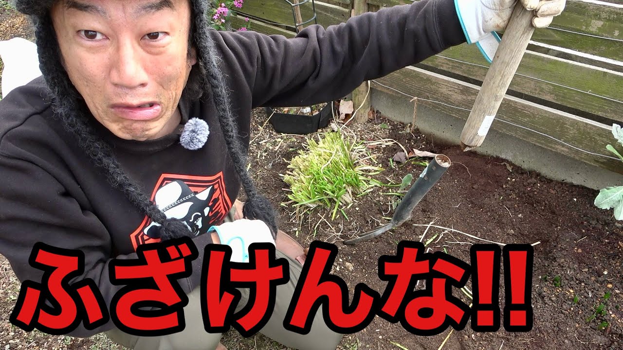 British Garden Fork] What? This is what breaks [Gardening