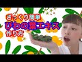 【セルフお灸】びわ葉エキスの作り方【鍼灸師解説】