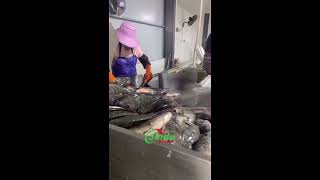 Fish Factory EXPERT Reveals High Speed Weight Sorting Machine Secrets