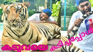 Tiger is Tiger 😳 Oh God! Tiger Park, Pattaya, Thailand Experience