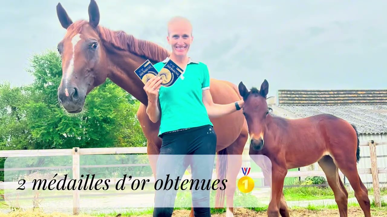 ✨Bonne année 2026!✨