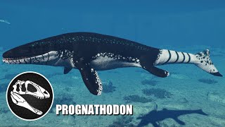 2 Prognathodon Vs 3 More Accurate Tylosaurus & More Accurate Mosasaurus - Jwe 2 Mods 4K 60Fps