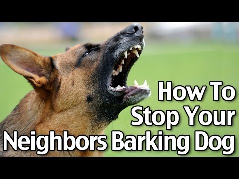how-to-stop-your-neighbors'-dog-from-barking