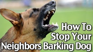 neighbors dog barking all night