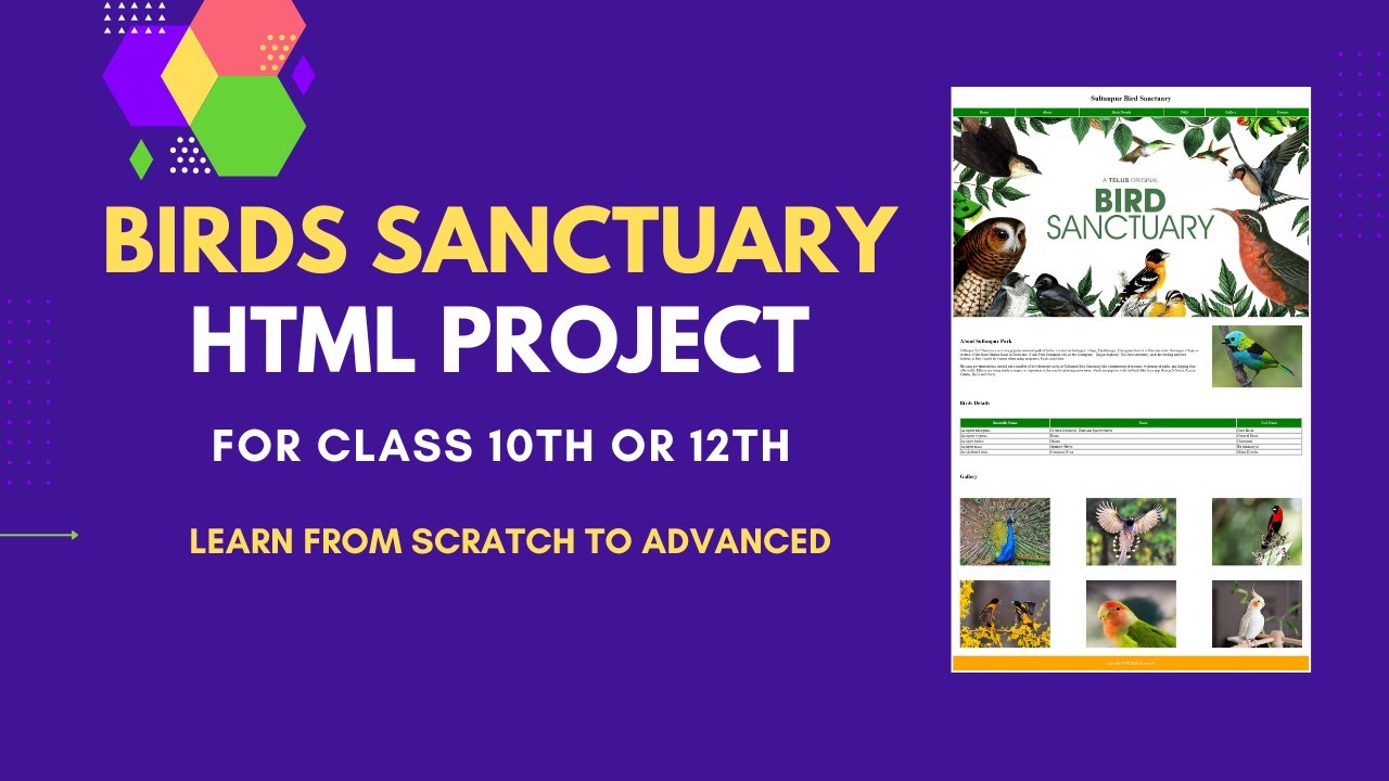 HTML Project: Bird Sanctuary Website | HTML Project for Class 10th or ...