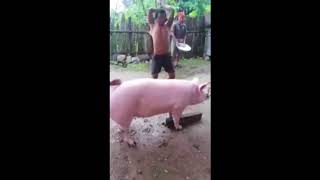 Pinoy Posting Meme Compilation 2