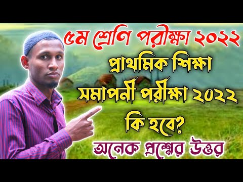 ভিডিও: পিইসি বোর্ড কি?