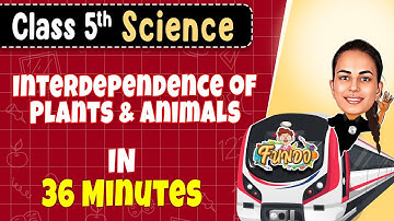 INTERDEPENDENCE of PLANTS And ANIMALS in 36 Minutes || Class 5 Science || Exam Express