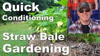 Quick Conditioning for Straw Bale Gardening
