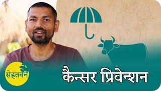 कैन्सर प्रिवेन्शन 🌳 Cancer Prevention 🌳 Dr. Vipin Gupta 🌳 सेहतवन