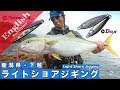 Light shore jigging for Yellowtail