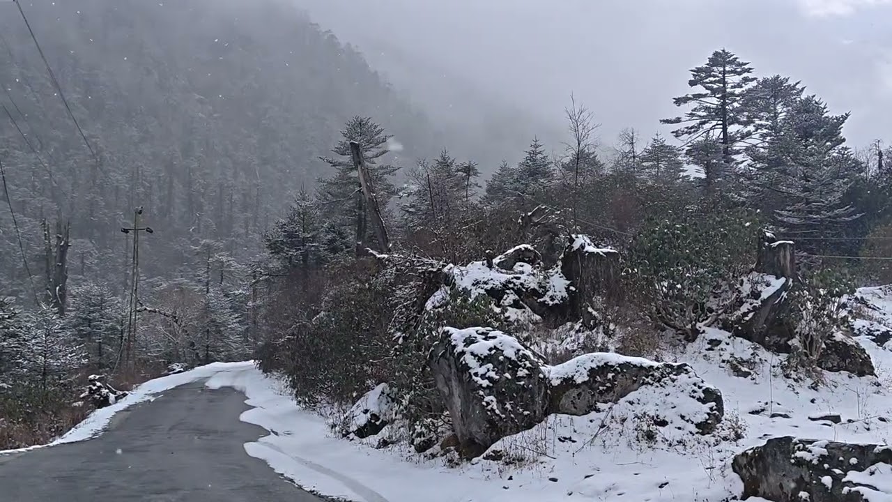 12 .2 .2026  Lachung # North Sikkim # near Youngthang velly 