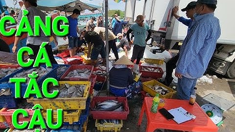 Cảng cá Tắc Cậu Kiên Giang nhộn nhịp những ngày đầu năm mới 2024 / chợ  Tắc Cậu Kiên Giang