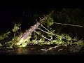 01-27-2021 Santa Cruz, CA - Trees Down Strong Winds and Heavy Rains