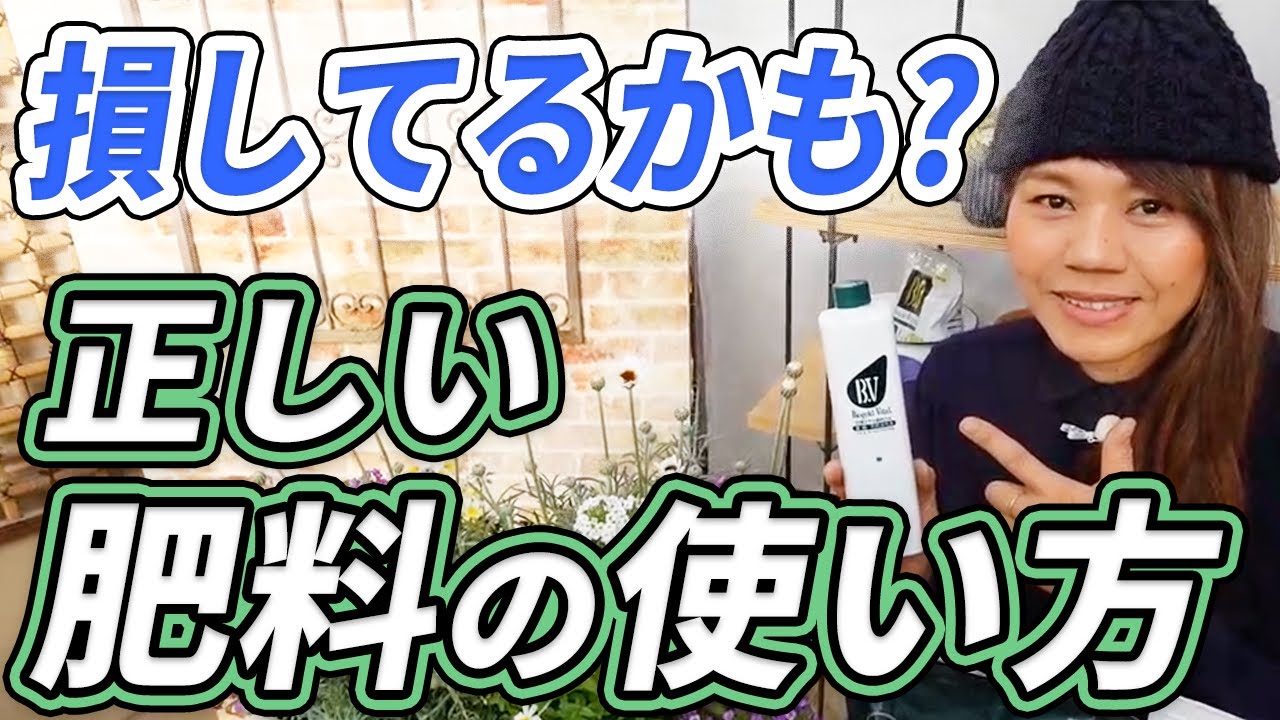 【間違えないで！】これ知りたかった〜肥料と活力剤の正しい使い方【初心者向け】【ガーデニング】【園芸チャンネル】