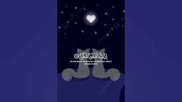 القارئ عمر بن ضياء الدين.