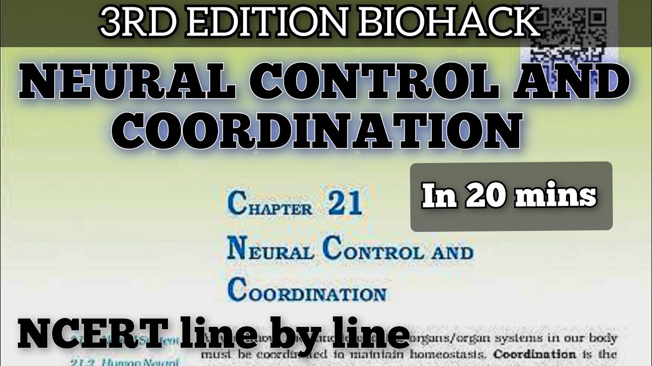 CH21 NEURAL CONTROL AND COORDINATION (BIOHACK) |ONE SHOT🔥| NCERT line ...