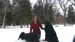 PrintingForLess.com customers shoot video love letters