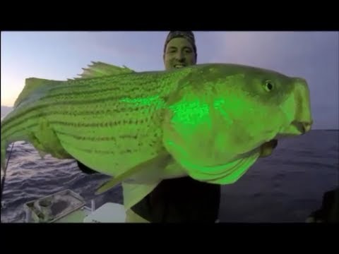 Striper fishing -BIGGER STRIPED BASS come off FLOATS! Float basics