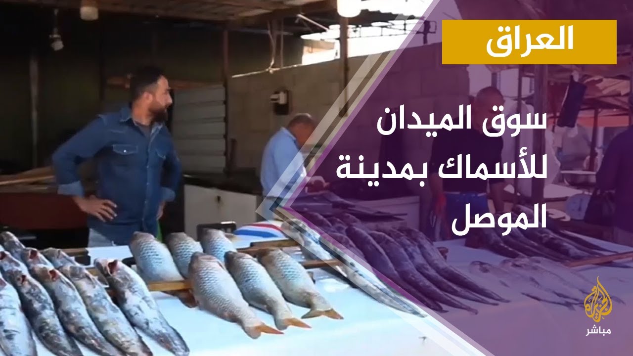 سوق الميدان للأسماك بمدينة الموصل في العراق