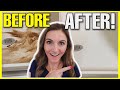 How to clean SHOWER FLOOR SCUM the EASY WAY!! (It's a Super Miracle) | Andrea Jean