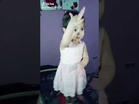 شغلاني حسن شاكوش