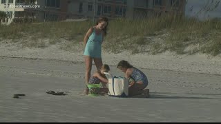 How to protect yourself from possible shark attacks