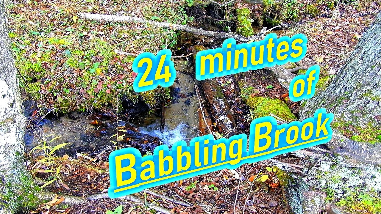 24 minutes of a Babbling Brook