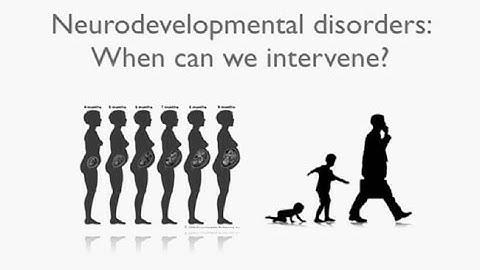 Mechanisms and Adult Treatments for Neurodevelopmental Disorders