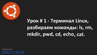 Видео урок 1  Терминал Linux команды : ls, rm, mkdir, pwd, cd, echo