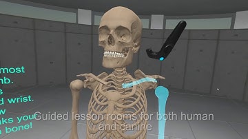 AnatomyBuilderVR