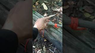 Survival #outdoors #bushcraft #lifehacks #survival