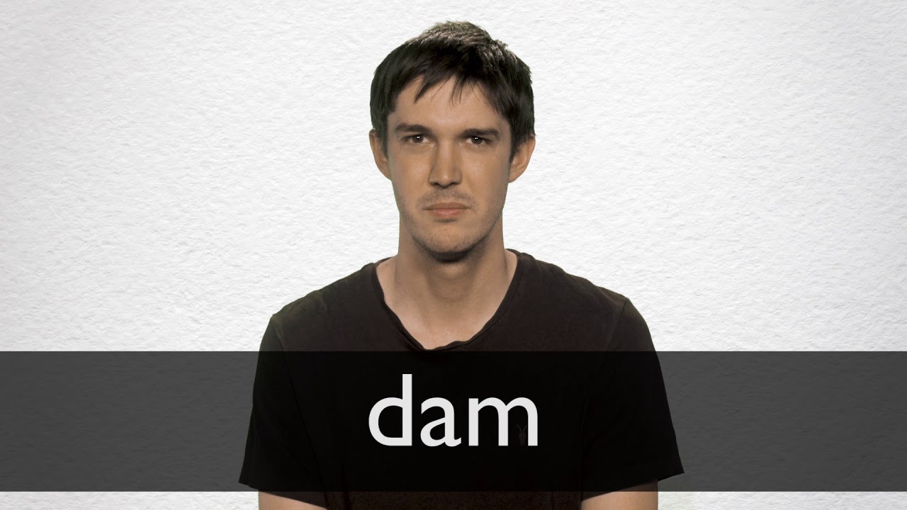 Dam definition and meaning | Collins English Dictionary
