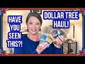 DOLLAR TREE HAUL | Have You Seen This?! | $1.25 | FANTASTIC FINDS | I LOVE THE DT 😁