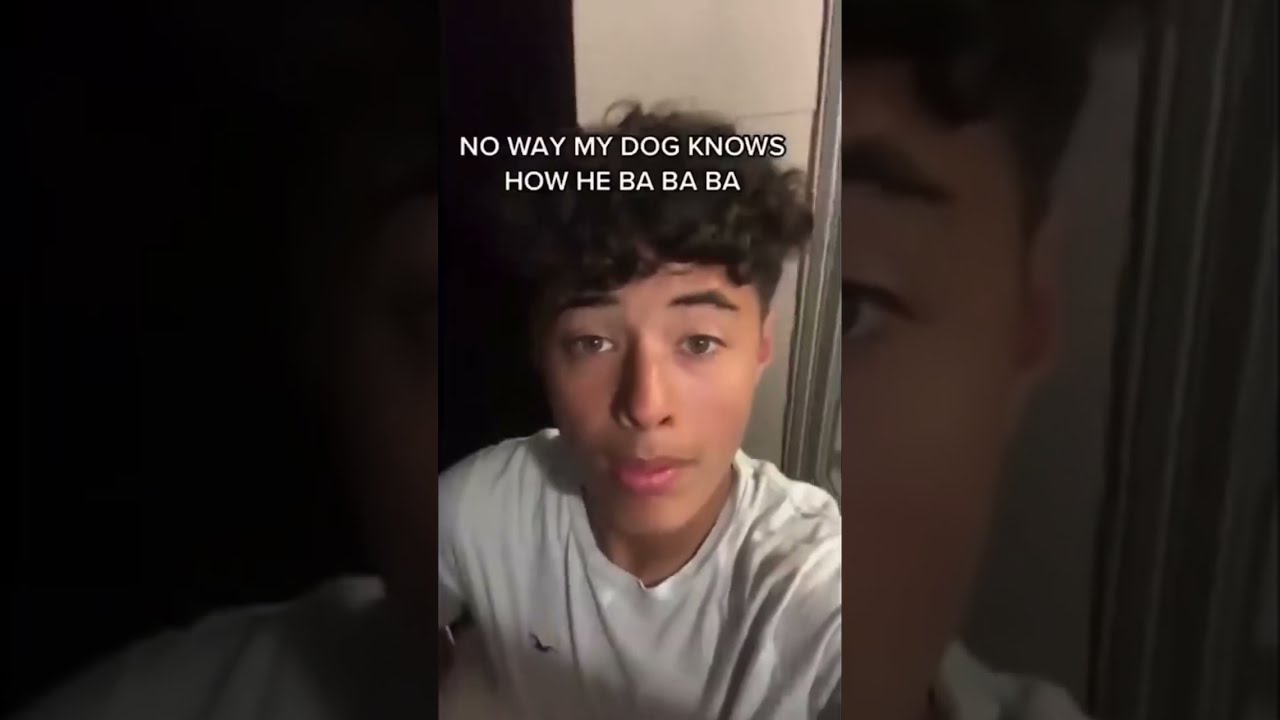 Goofy Ahh Memes Funny Lmao Cat Comedy Dog Shorts Tiktok Viral