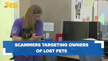 Scammers are targeting owners of lost pets