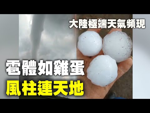 大陆极端天气频现。雹体如鸡蛋，风柱连天地。6月9日，黑龙江齐齐哈尔部分地区遭遇冰雹和龙卷风袭击