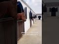 تصميم الأحد ليس لدي ما افعله جيش دارين اشتراك
