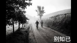 海来阿木 - 别知己 Bie Zhi Ji  - Remix Tiktok Hot Douyin 抖音