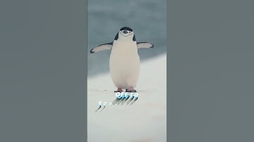 Already Have Solar? Add Battery Storage & Save More 💸🔋 #fortunesolar #solarbattery #batteryrebate