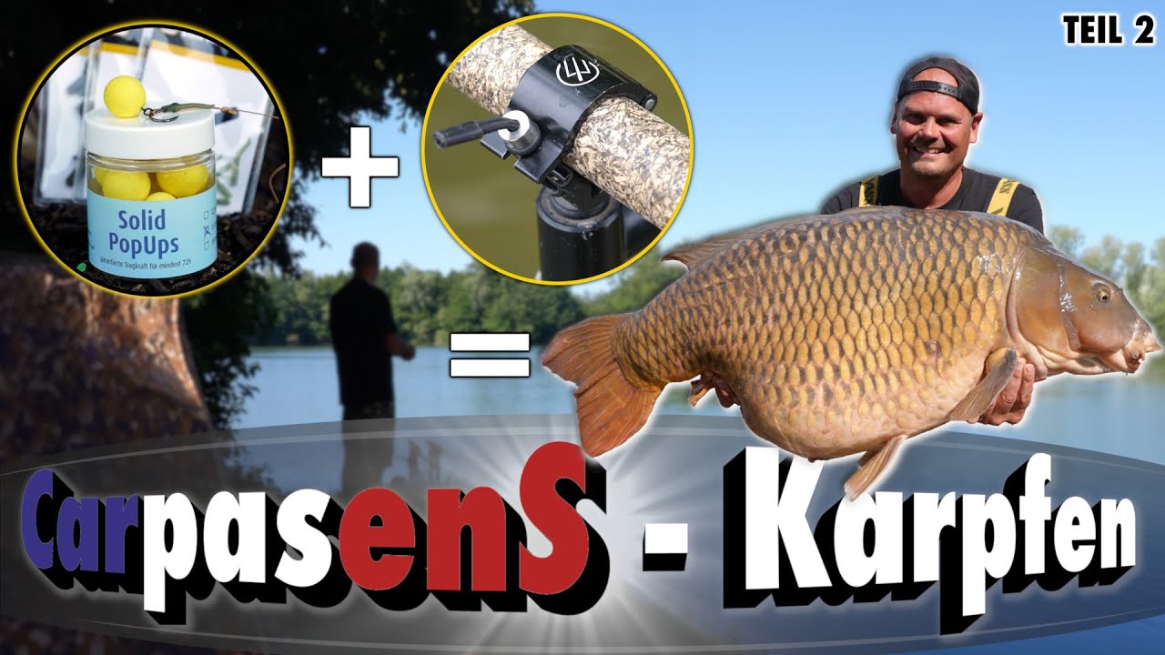 💣🎣 Karpfen bis 33 Kilo am Carpasens, Taktik, Technik, Futter & Tricks