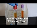 Centrifugation and Aliquoting of Blood Serum and Plasma