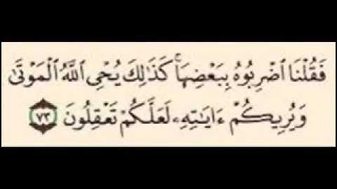 سورة البقره آيه 72   73