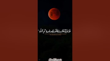 سورة الزمر - الآية ٢٢ { أَفَمَن شَرَحَ اللَّهُ صَدْرَهُ لِلْإِسْلَامِ } | الشيخ ياسر الدوسري