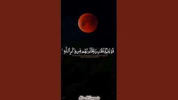 سورة الزمر - الآية ٢٢ { أَفَمَن شَرَحَ اللَّهُ صَدْرَهُ لِلْإِسْلَامِ } | الشيخ ياسر الدوسري